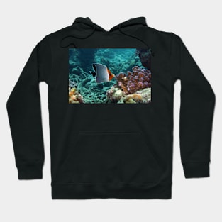 a fish in the coral reef Hoodie